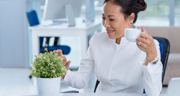 Asiatin, weiße Bluse, hochgesteckte, schwarze Haare, betrachtet lächelnd eine Topfpflanze in weißem Topf auf ihrem weißen Schreibtisch, in der linken Hand Kaffeetasse, rechte Hand berührt Pflanze.