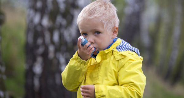 Gewisse Bakterien in den Atemwegen hängen mit Asthma zusammen.