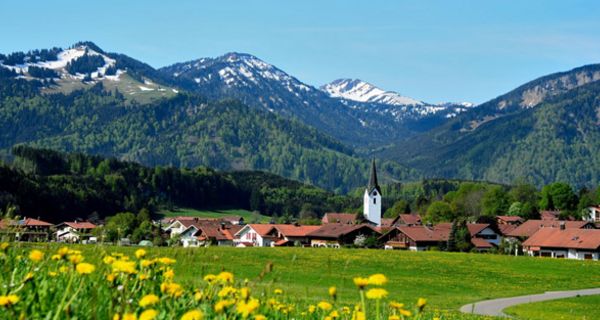 Allgäudorf mit Bergen im Hintergrund und blühenden Wiesen im Vordergrund