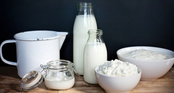 Auswahl an Milchprodukten in Glasgefäßen: Milch, Sahne, Joghurt, Quark