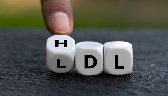 Würfel mit den Buchstaben HDL und LDL