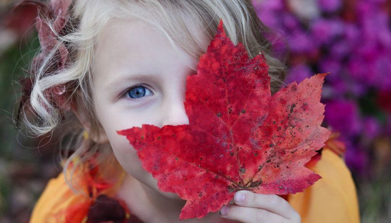 Im Herbst werden die Blätter nicht ohne Grund bunt.