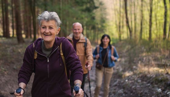 Wandergruppe im Wald