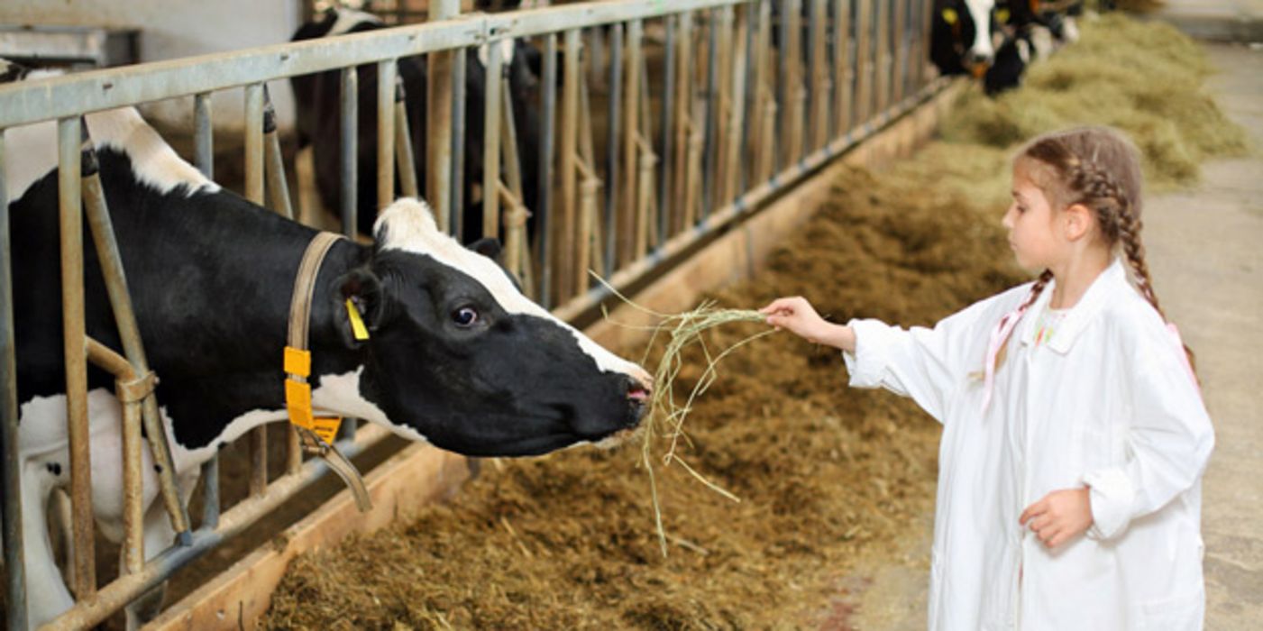 Viele menschliche Krankheiten gehen auf Tiere zurück.