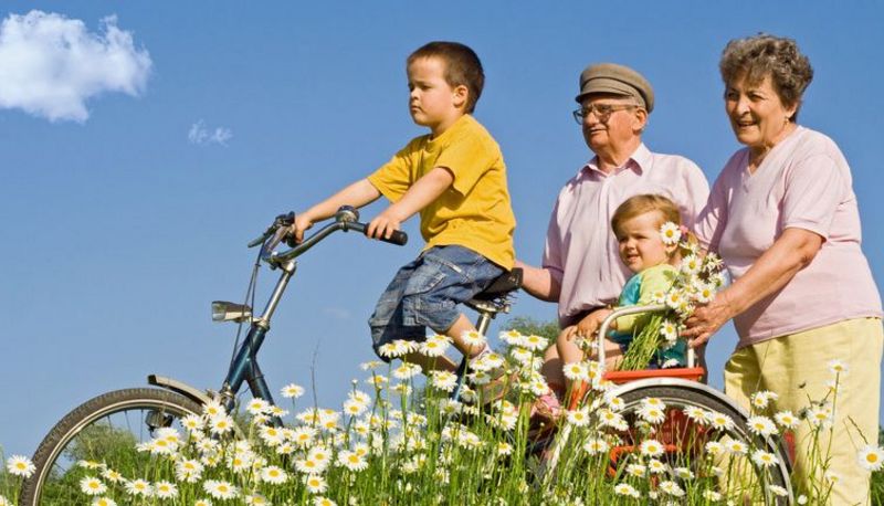 Großeltern mit ihren zwei Enkeln auf einer sommerlichen Wiese