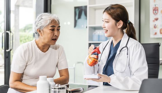Eine junge Ärtzin hält ein Herz-Modell in der Hand und berät eine ältere Dame.