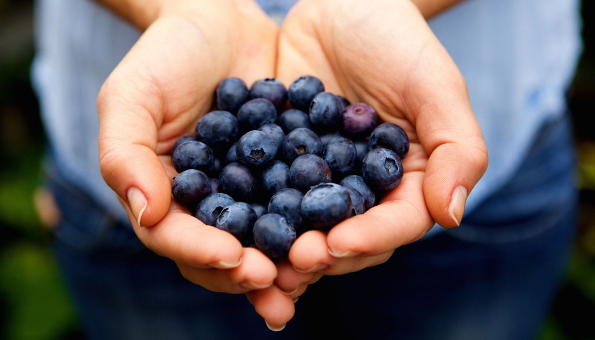 Frau, hält Blaubeeren in der Hand.