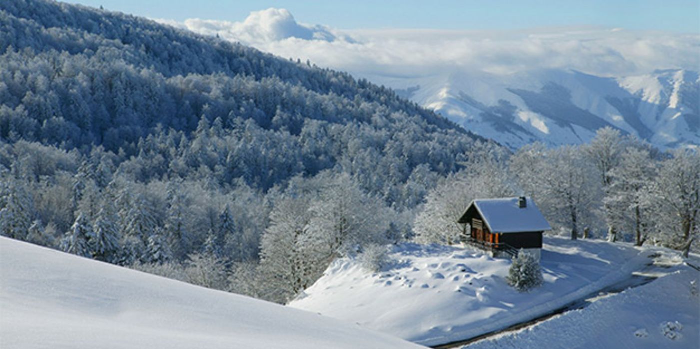 Der Anblick einer Winterlandschaft wirkt sich auf die Handlungskontrolle aus.