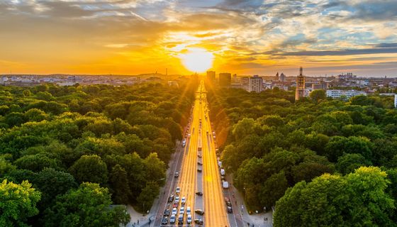 Sonnenuntergang hinter einer Stadt mit vielen Bäumen.