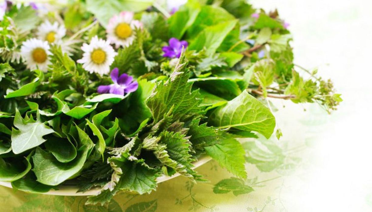 Manche Kräuter und Blumen kann man essen.