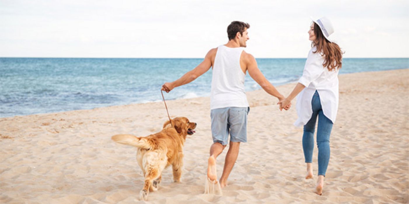 Wenn die Vierbeiner mit in den Urlaub fahren, gilt es, einiges zu beachten.