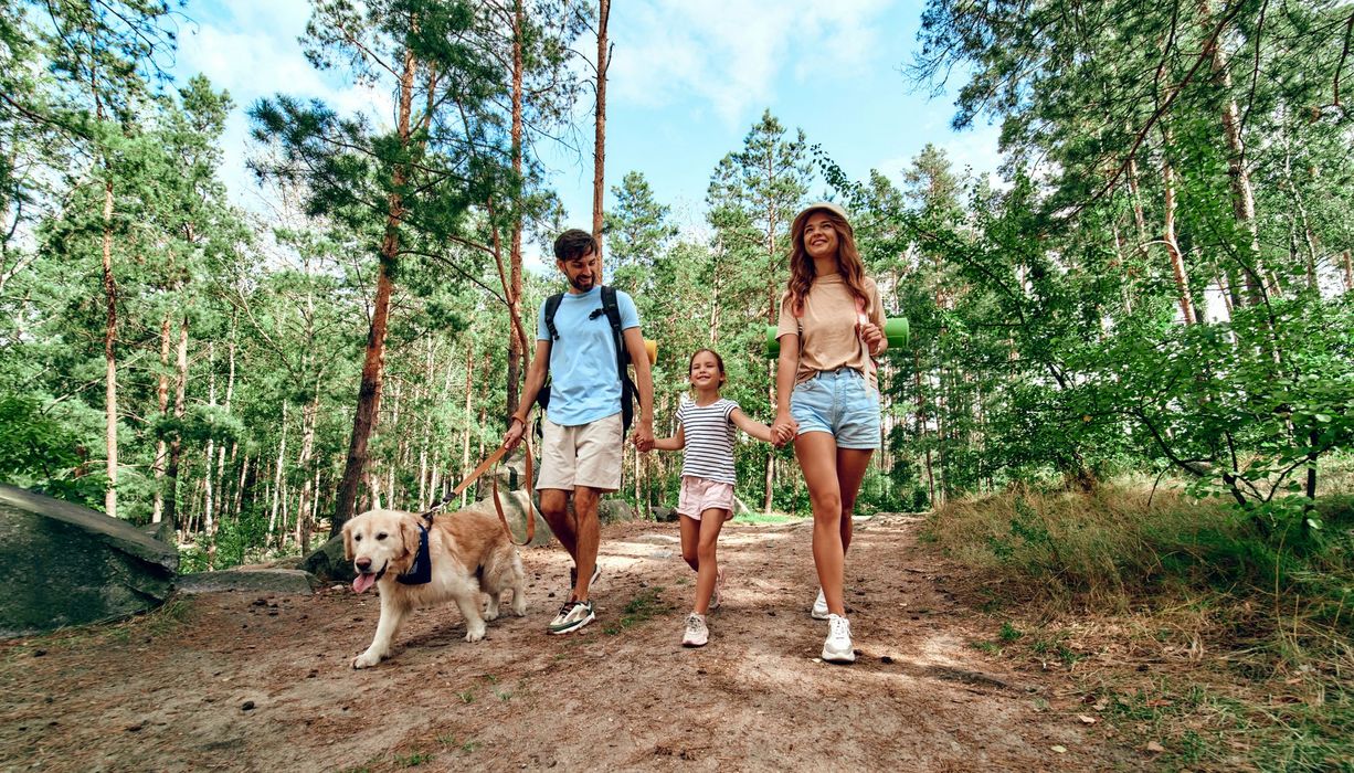 Familie, geht im Wald mit einem Hund spazieren.