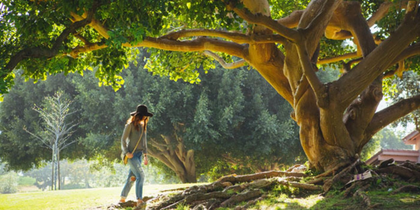 Zeit in der Natur zu verbringen, reduziert das Risiko für das metabolische Syndrom.