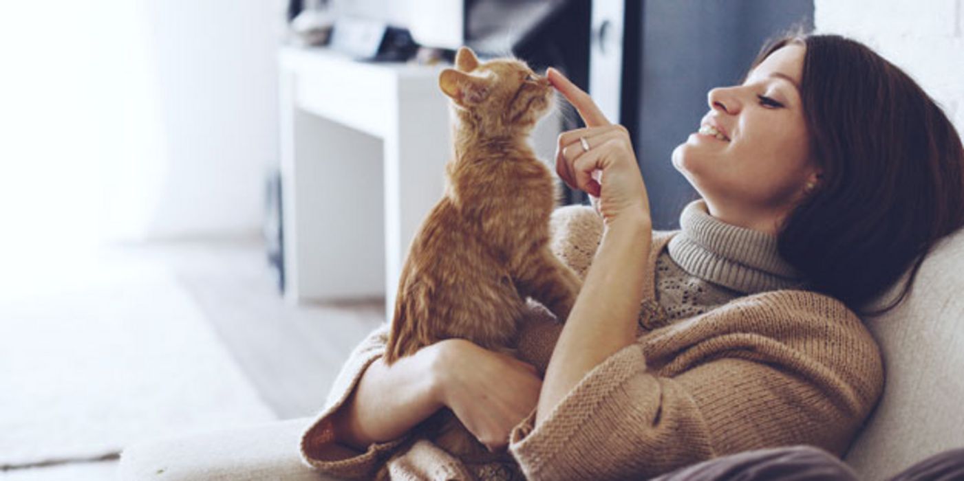 Toxoplasmose verändert den Stoffwechsel im Gehirn.