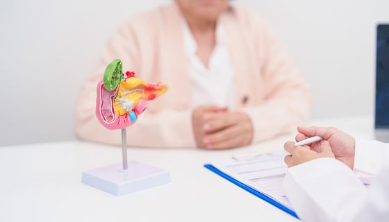 Ein Arzt und eine Patientin sitzen an einem Tisch, in der mitte ein Modell einer Bauchspeicheldrüse.