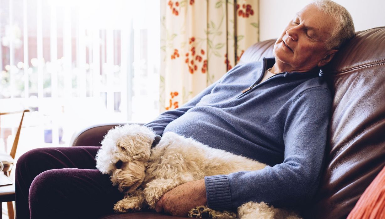 Senior, sitzt auf dem Sofa gemeinsam mit seinem Hund und macht ein Nickerchen.