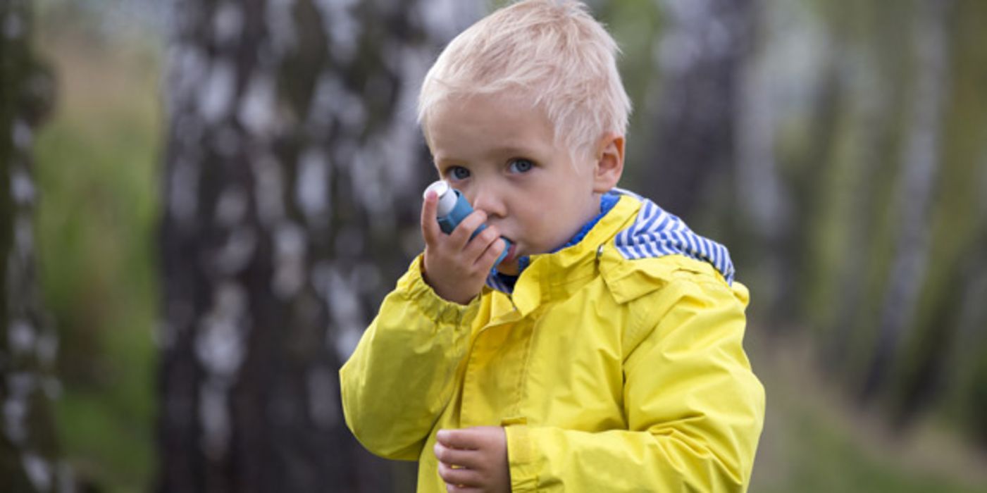 Gewisse Bakterien in den Atemwegen hängen mit Asthma zusammen.