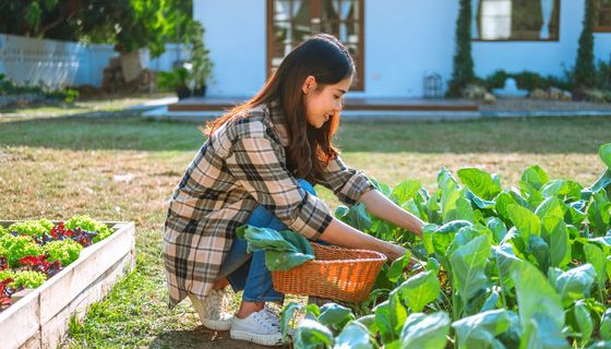 Junge Frau, arbeitet im Garten.