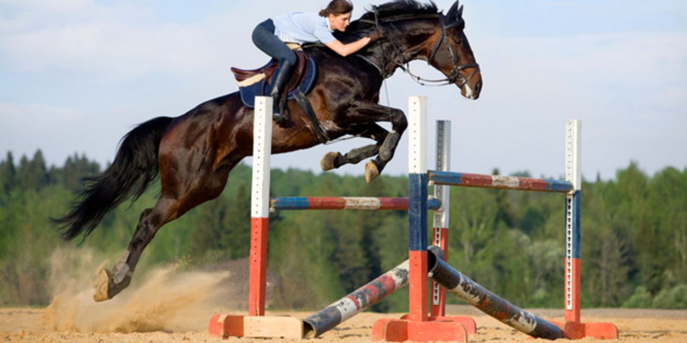 Jüngere Reiterin auf Pferd beim Überspringen eines Oxers