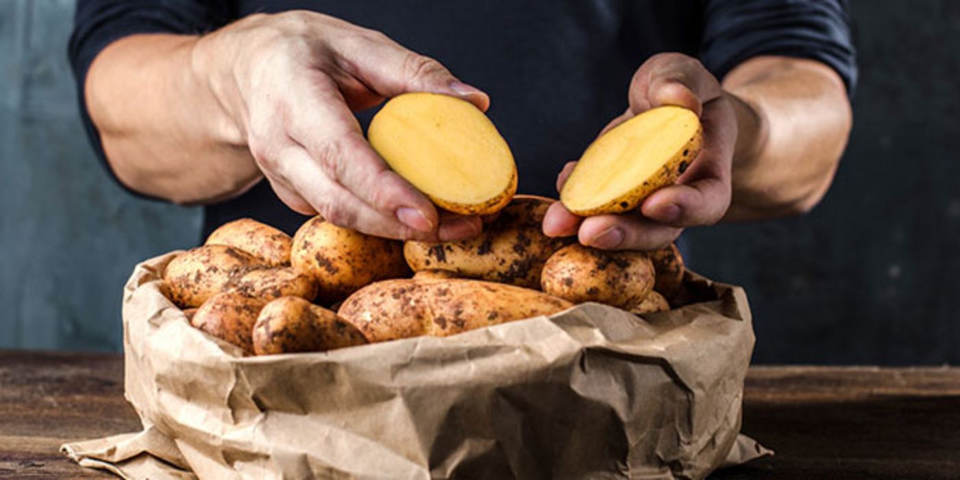 Reife, frisch geerntete Kartoffeln enthalten besonders wenig der gesundheitsschädlichen Substanzen.