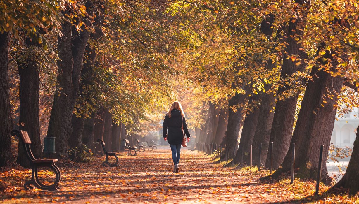 Frau, läuft durch eine Allee mit herbstlichen Bäumen.