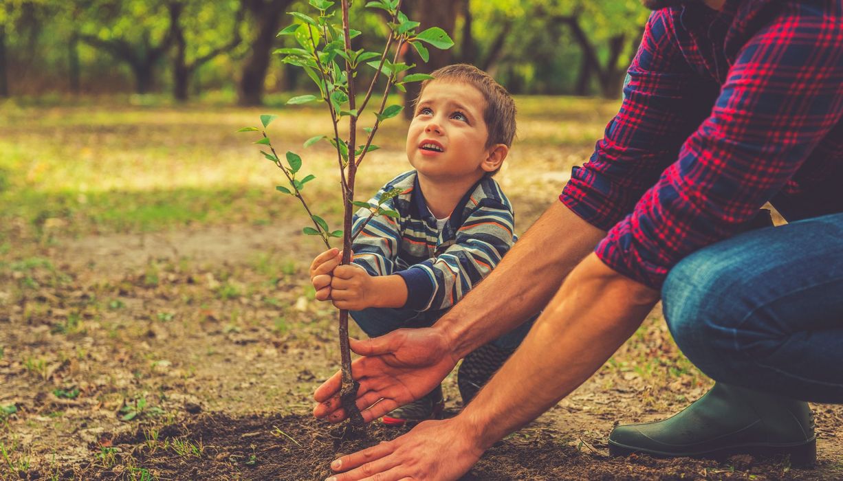 Ein Kind pflanzt mit seinem Papa einen Baum