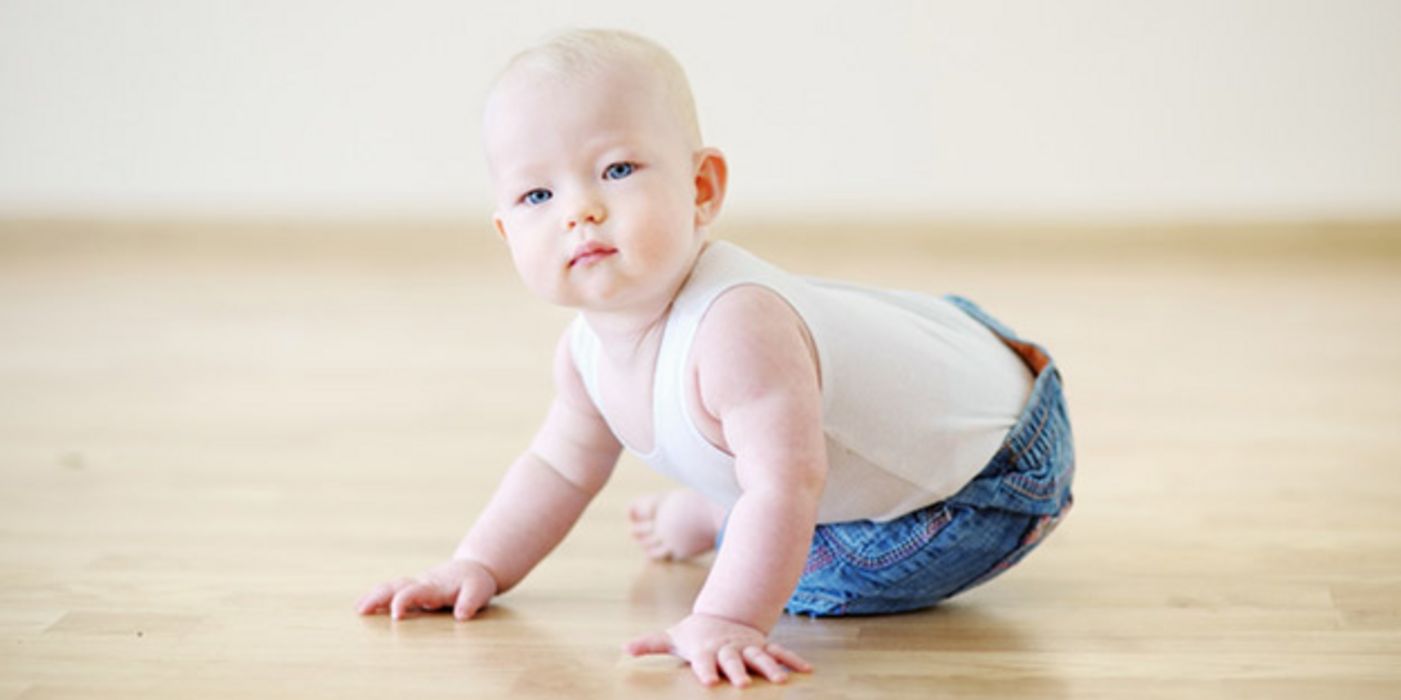 etwas rundliches Baby (ca. 1 Jahr), weißes Hemdchen, Jeans, beim Krabbeln auf Laminat, ernst in die Kamera schauend