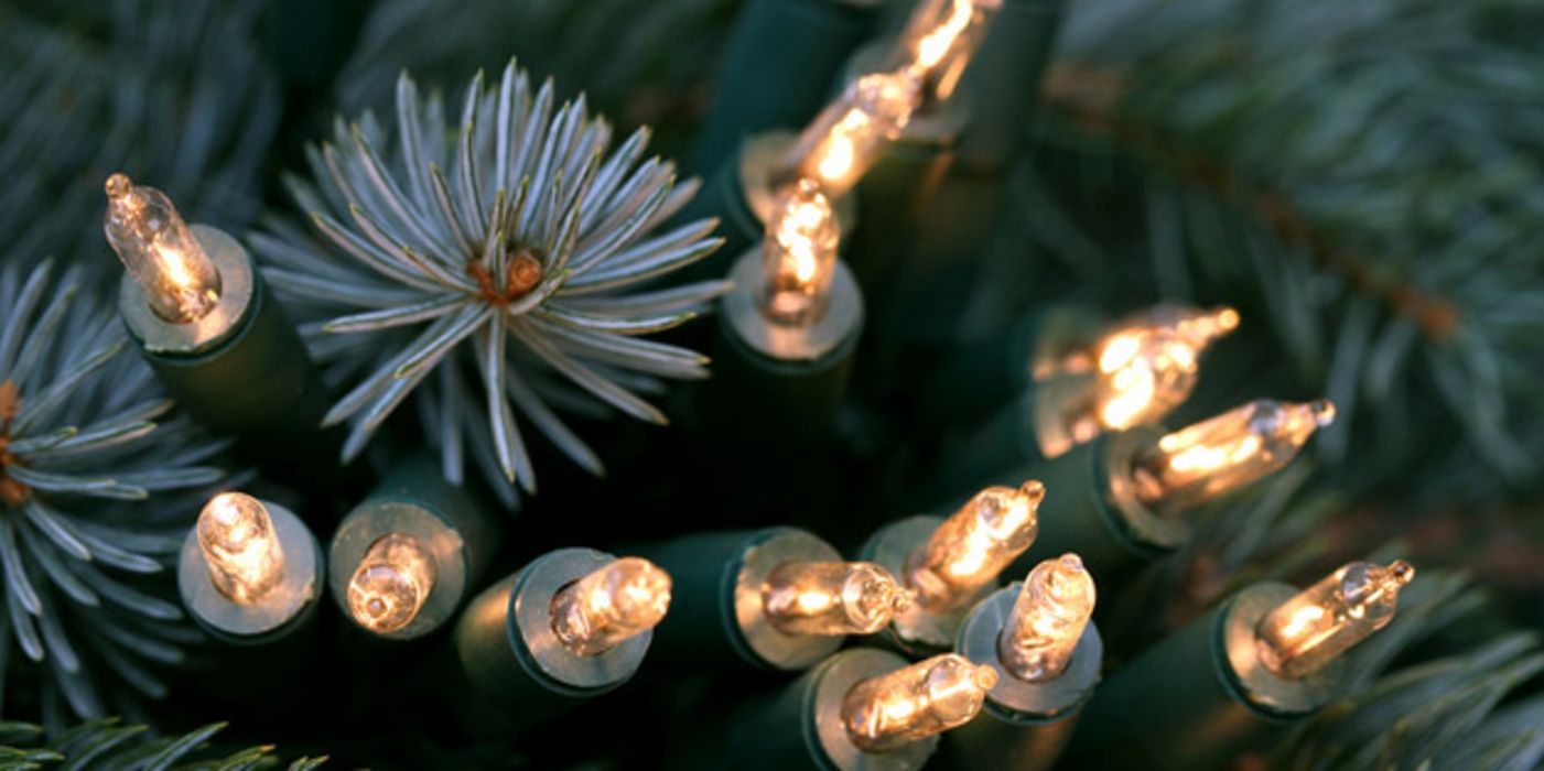 Lichterkette im Nadelbaum