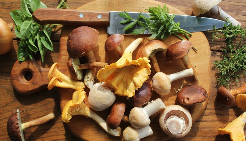 Pilze liegen auf einem Holzbrett, darüber ein Messer.