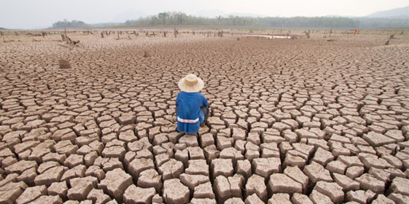 Durch den Klimawandel können sich viele Erreger leichter vermehren und ausbreiten.