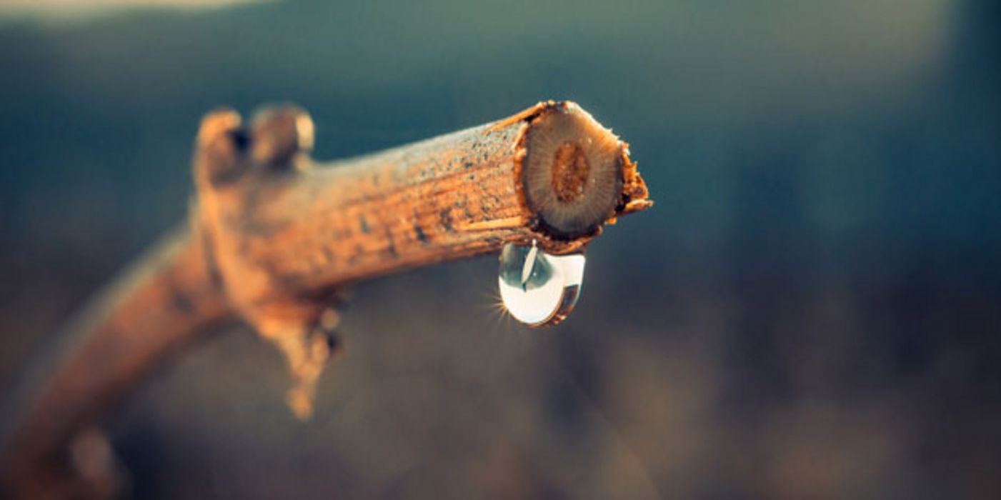 Forscher haben das Geheimnis um das Plopp-Geräusch eines Wassertropfens gelüftet.