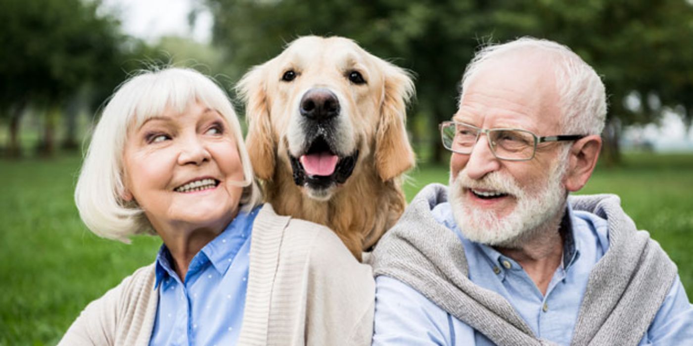 Wer einen Hund hat, ist körperlich aktiver und lebt gesünder.