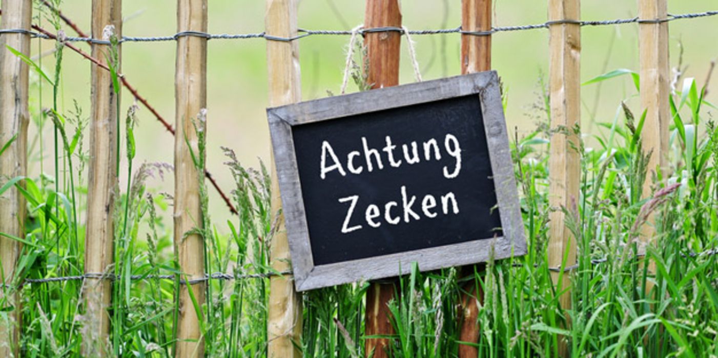 Zaun an einer Wiese mit Zecken-Warnhinweis