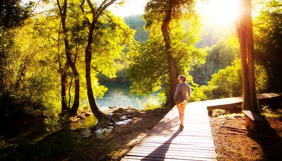 Junge Dame spaziert im Wald an einem See