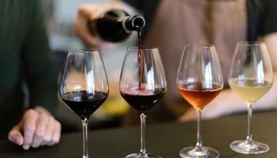 Vier Weingläser mit Rotwein, Weißwein und Rose.
