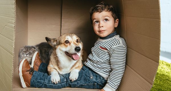 Kleiner Junge, sitzt mit einem Hund in einem Karton.