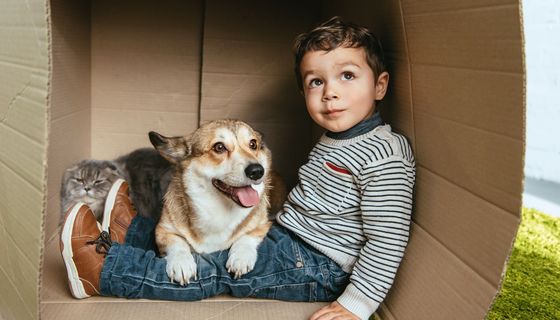 Kleiner Junge, sitzt mit einem Hund in einem Karton.