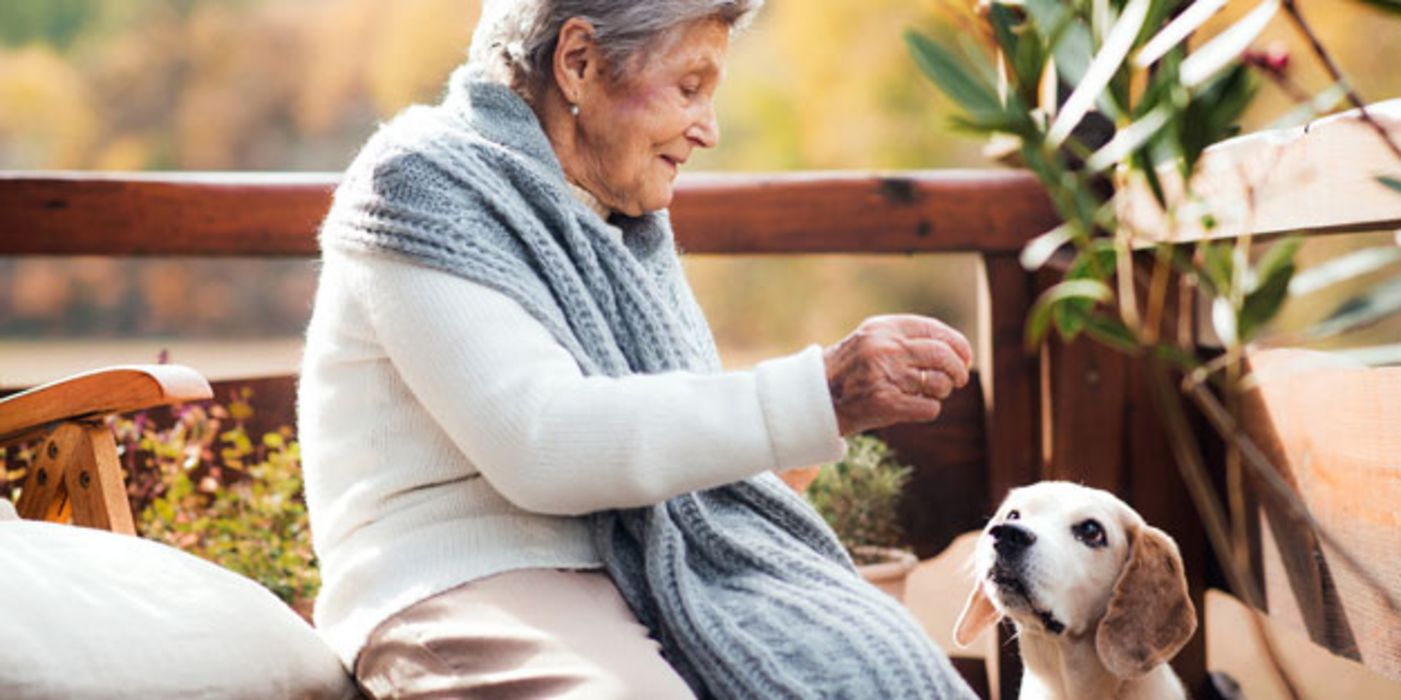 Tiere haben zahlreiche positive Auswirkungen auf den Alltag.