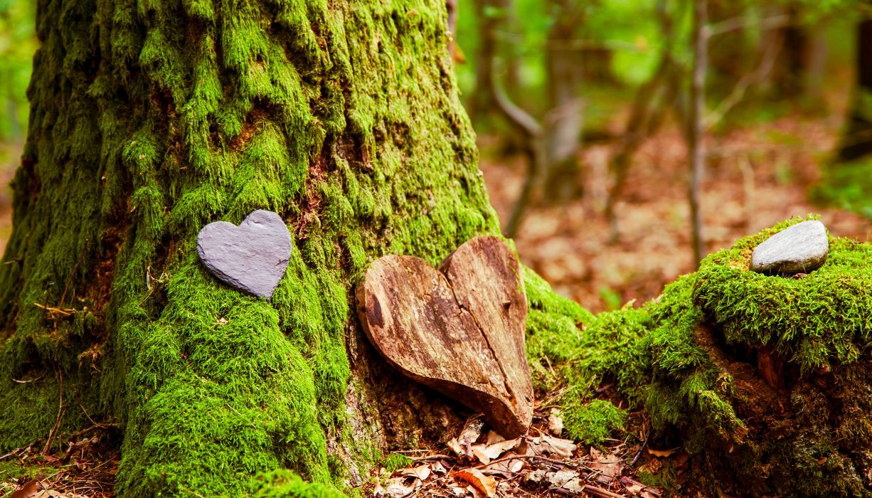 Foto von einem Holzherz am Fuße eines Baums.