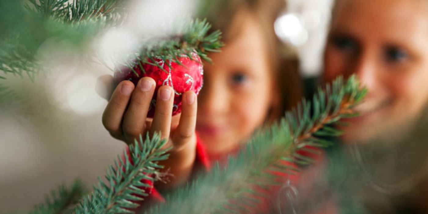 Zecken können auch im Weihnachtsbaum lauern.