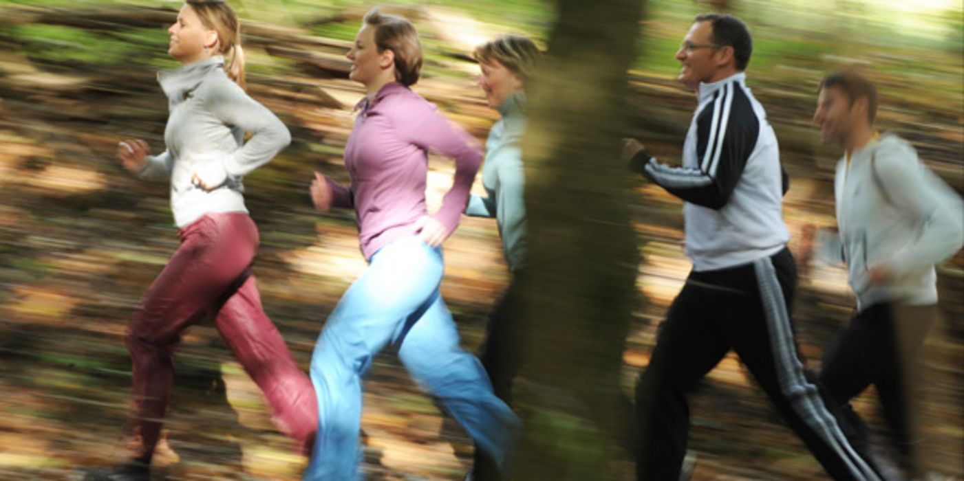 Gruppe von Joggern läuft durch den Wald.