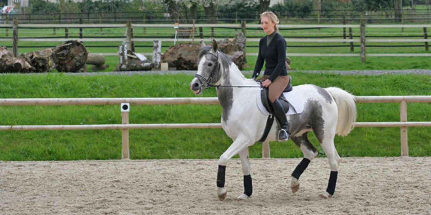 Frau reitet mit einem Schimmel auf einem Sandplatz