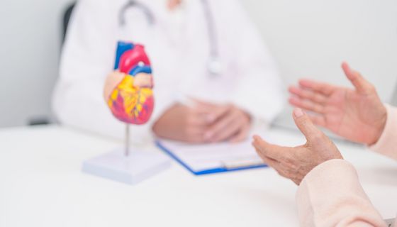 Arzt mit Herz Anatomiemodell. Ältere Patienten Beratung medizinische Gesundheit bei Herz-Kreislauf-Erkrankungen
