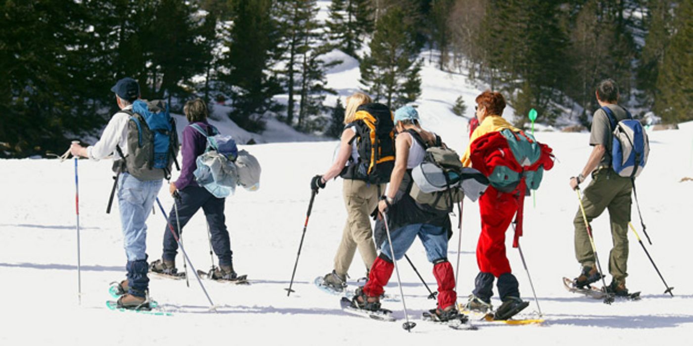 Gruppe von Schneewanderern