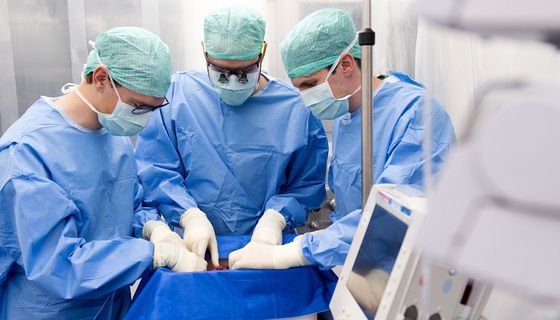 Das Wyss Zurich-Team schliesst die Spenderleber im Reinraum an die Perfusionsmaschine an.