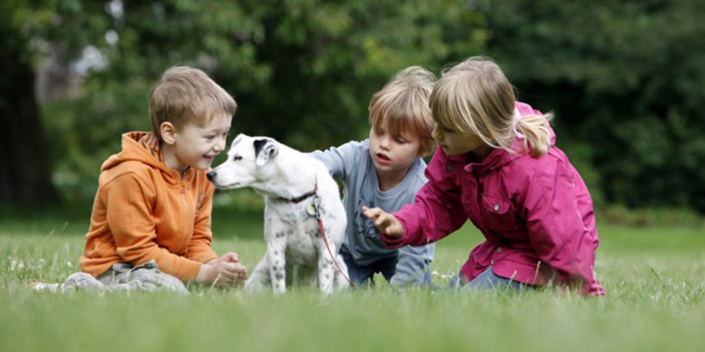 Spielende Kinder mit Hund