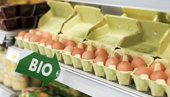 Bio-Eier im Supermarkt-Regal.