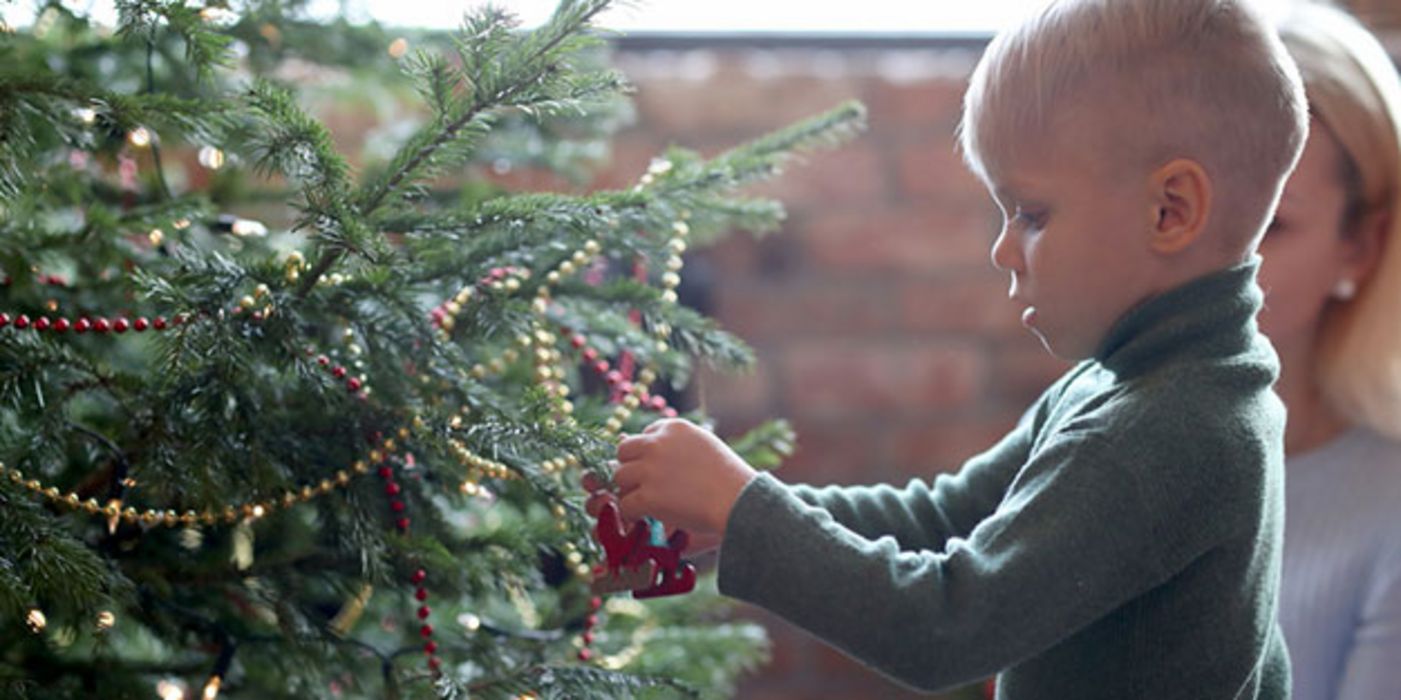 Mit diesen Tipps bleibt der Weihnachtsbaum lange frisch.