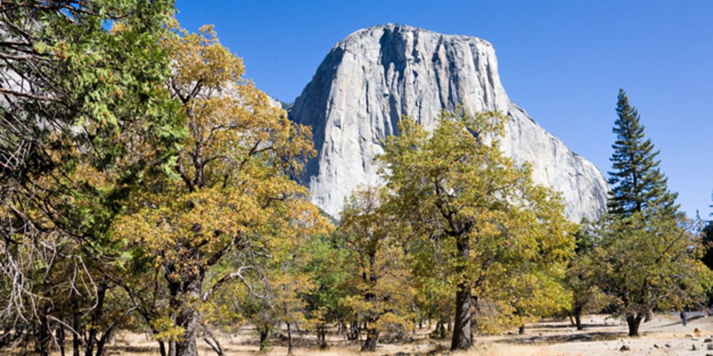 Landschaftsaufnahme mit El Capitan aus dem Yosemite-Nationalpark.