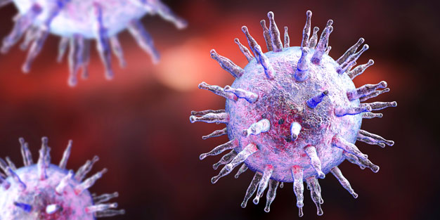 Erhöhen Epstein-Barr-Viren das Risiko für Multiple Sklerose? | aponet.de